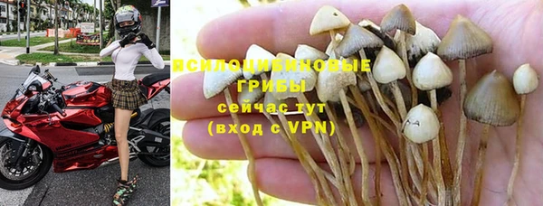 ешки Баксан