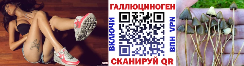 дарк нет клад  Калязин  Псилоцибиновые грибы мухоморы 